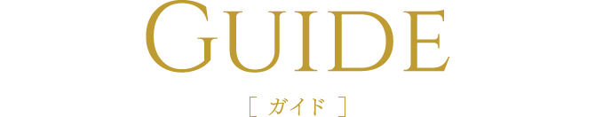 ガイド